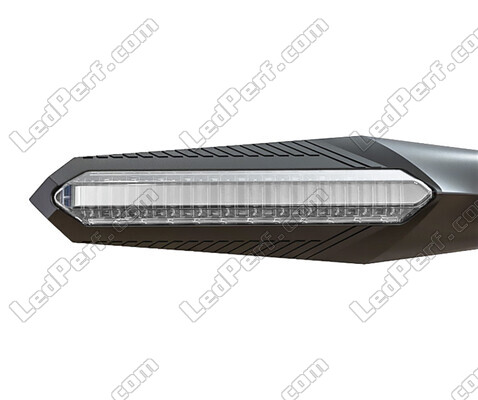 Vorderansicht der Dynamische LED-Blinker mit Tagfahrlicht für Aprilia Caponord 1000 ETV