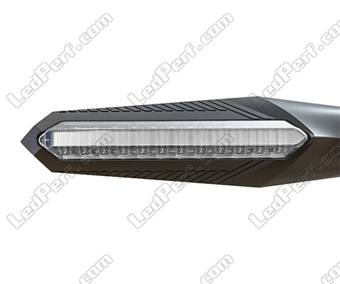 Frontansicht Dynamische LED-Blinker + Bremslichter für Kawasaki Vulcan S 650