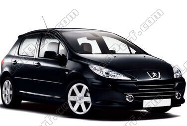 Auto Peugeot 307 (2005 - 2008)