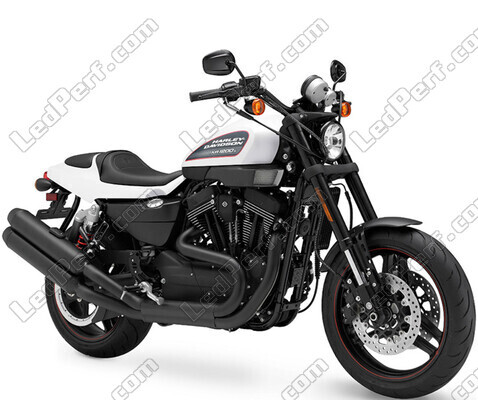 Motorrad Harley-Davidson XR 1200 X (2010 - 2013)